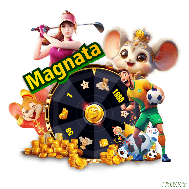 Experiência VIP 1213bet